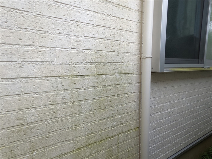 練馬区関町東にて外壁の点検、塗膜が劣化した外壁材は苔が生えやすくなってしまいます。